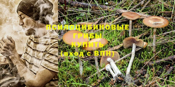 дурь Зеленокумск