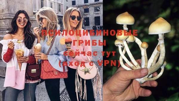 твердый Зеленодольск