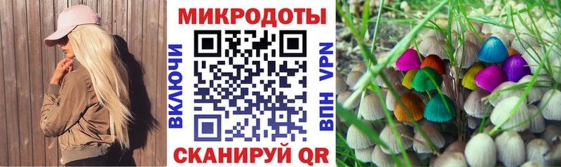 Купить закладки  Волгоград  Псилоцибиновые грибы мицелий 