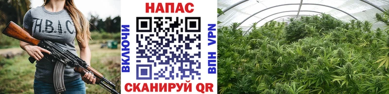 Марихуана семена  Купить закладки  Волгоград 